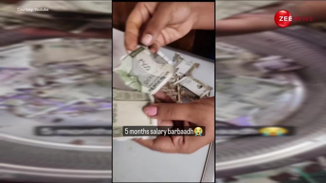 5 महीने की सैलरी को लड़की ने कर दिया बर्बाद, 500-500 के नोटों का हुआ बहुत ही बुरा हाल