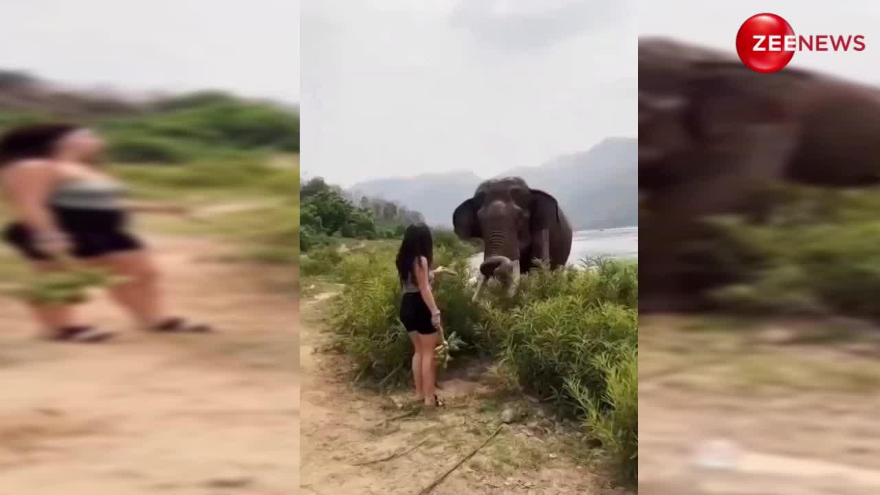 हाथी को केला खिलाने गई महिला; खुद खा लिया मार, वीडियो हुई वायरल