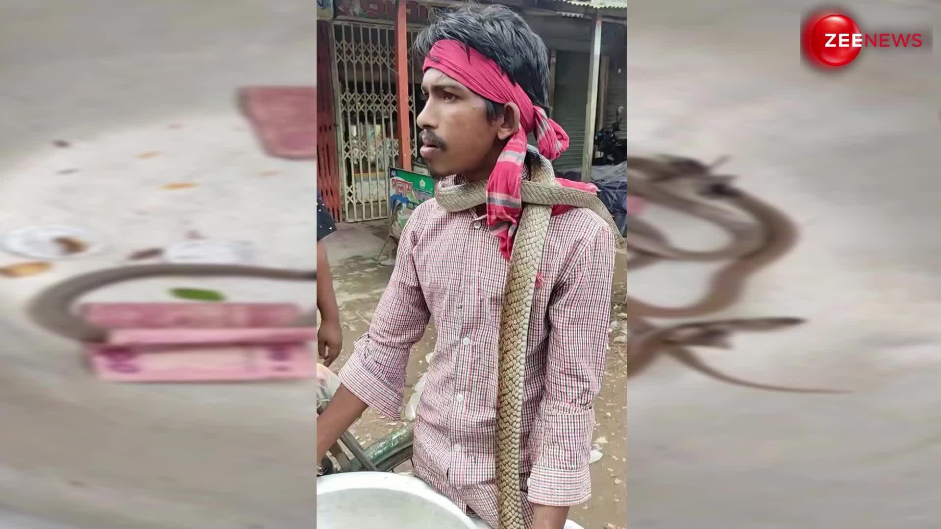 Cobra viral video:गले में कोबरा टांग कटोरे में सांप के बच्चे लेकर गली-गली घूमता रहा ये लड़का, कारण जान आप भी रह जाएंगे हैरान