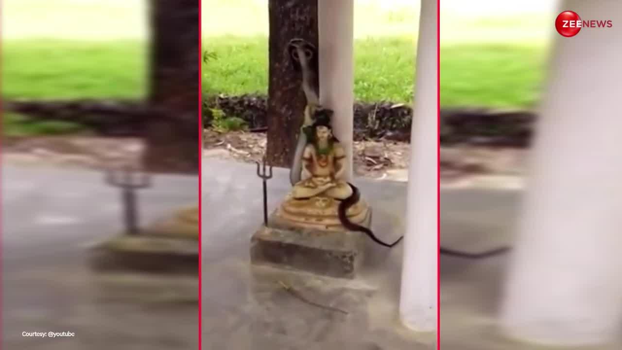 Real Snake on Shiva Lingam: सावन लगने से पहले भोलेनाथ की प्रतिमा से लिपट गया कोबरा, वीडियो हुआ वायरल