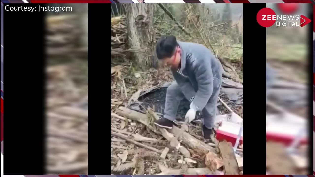 Viral Video: कुल्हाड़ी से पेड़ काट रहा था शख्स अचानक जेब से गिरा फोन तो उसी पर मारी चोट, वीडियो देख आप भी हैरान रह जाएंगे