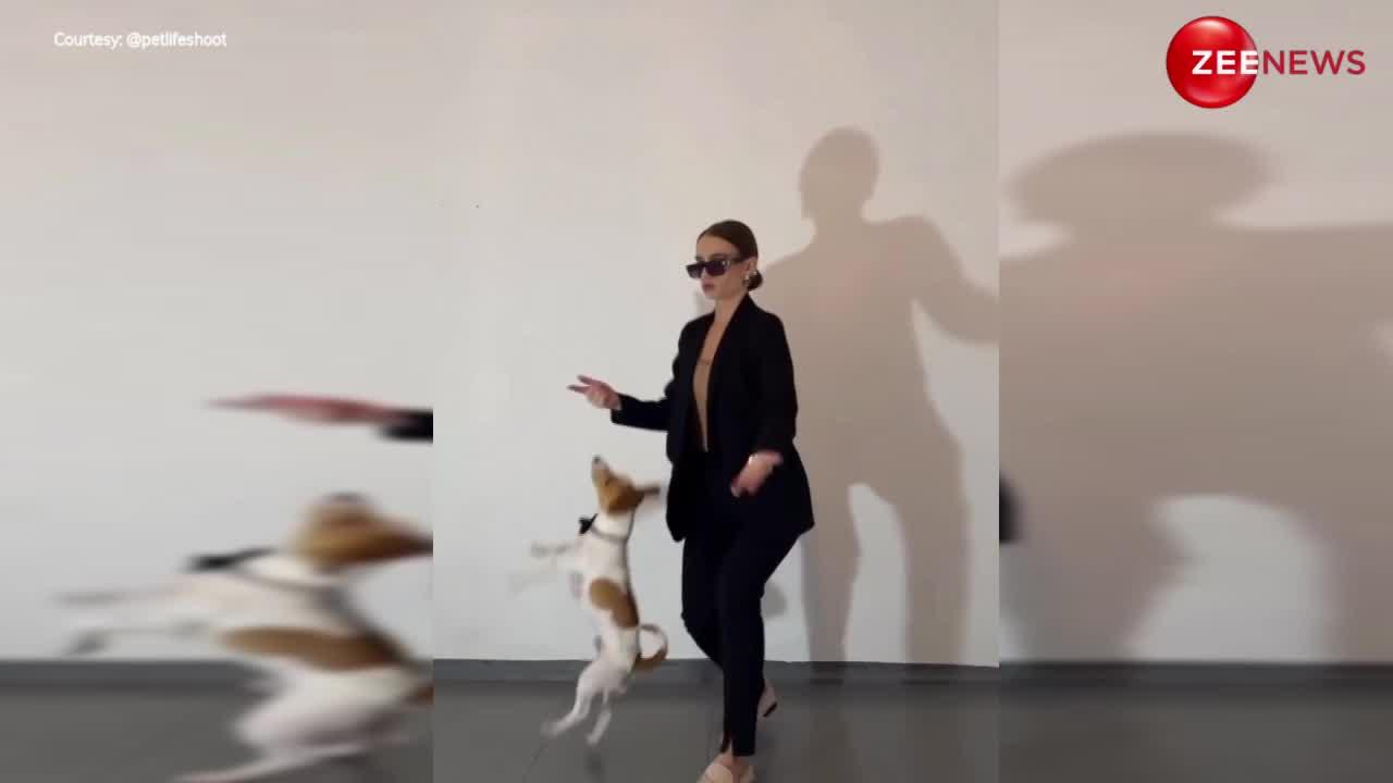 Funny Dogs Dancing: लड़की के साथ डॉग ने पंजाबी गाने पर मिलाई ताल से ताल, बोले लोग- कुत्ते ने तो दो पैग मार रखे है!