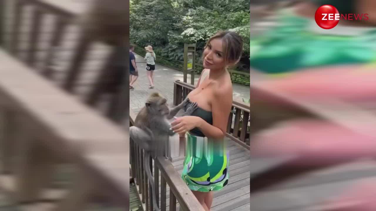 Monkey Viral Video: बंदर ने सरेआम महिला की उतारी इज्जत, फिर खींचकर जड़ दिया जोरदार थप्पड़....