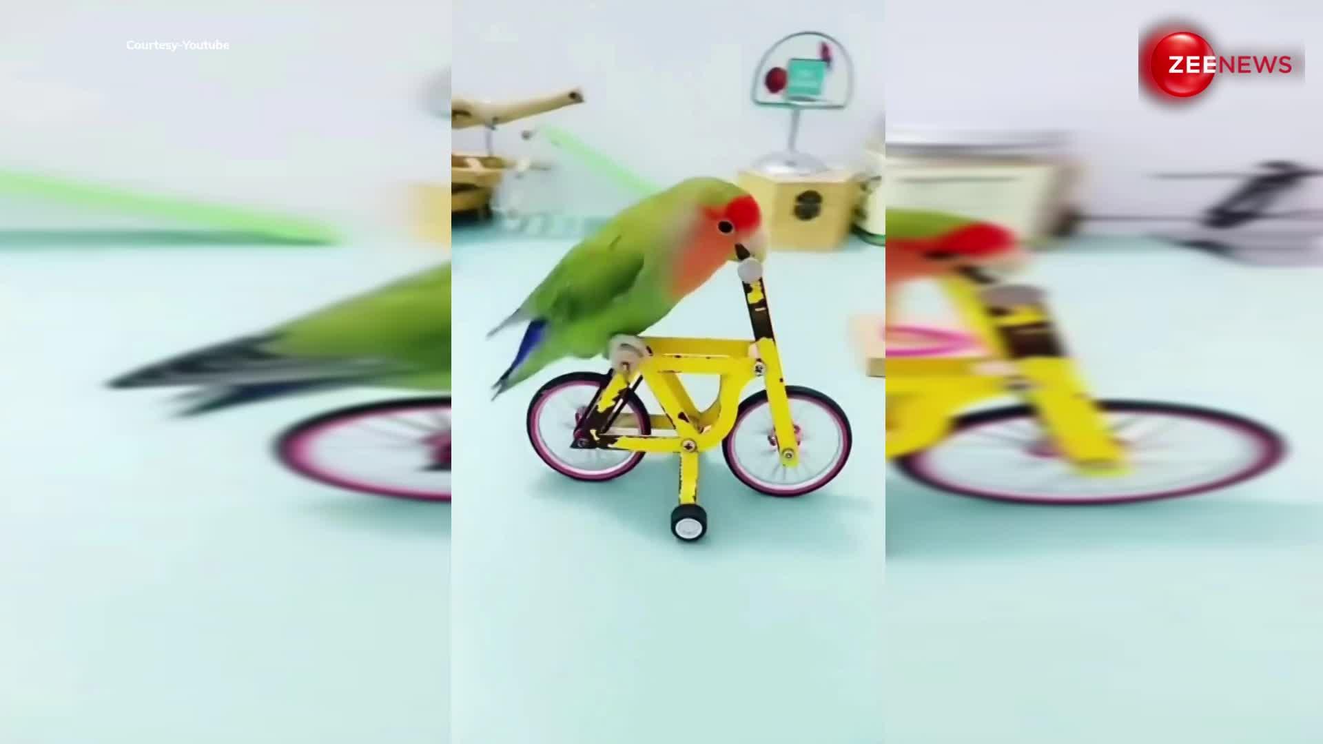 Parrot viral: तोते ने पहले खोला अपना पिंजरा फिर चलाई साइकिल वीडियो देख, हक्के-बक्के रह गए लोग