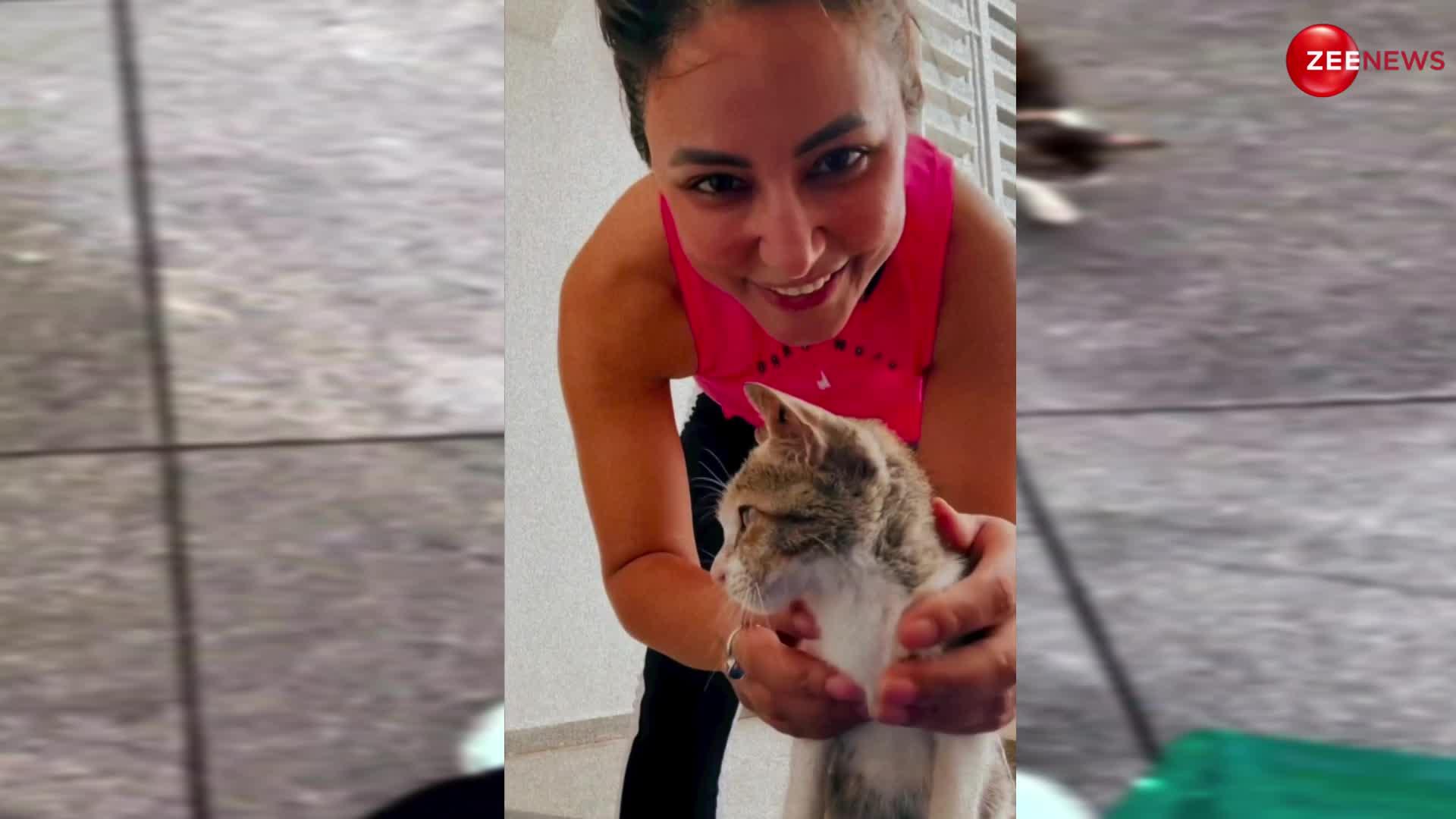 Hina Khan ने बिल्ली के साथ खेलते हुए वीडियो किया पोस्ट, फैंस बोले-काश इसकी जगह में होता!