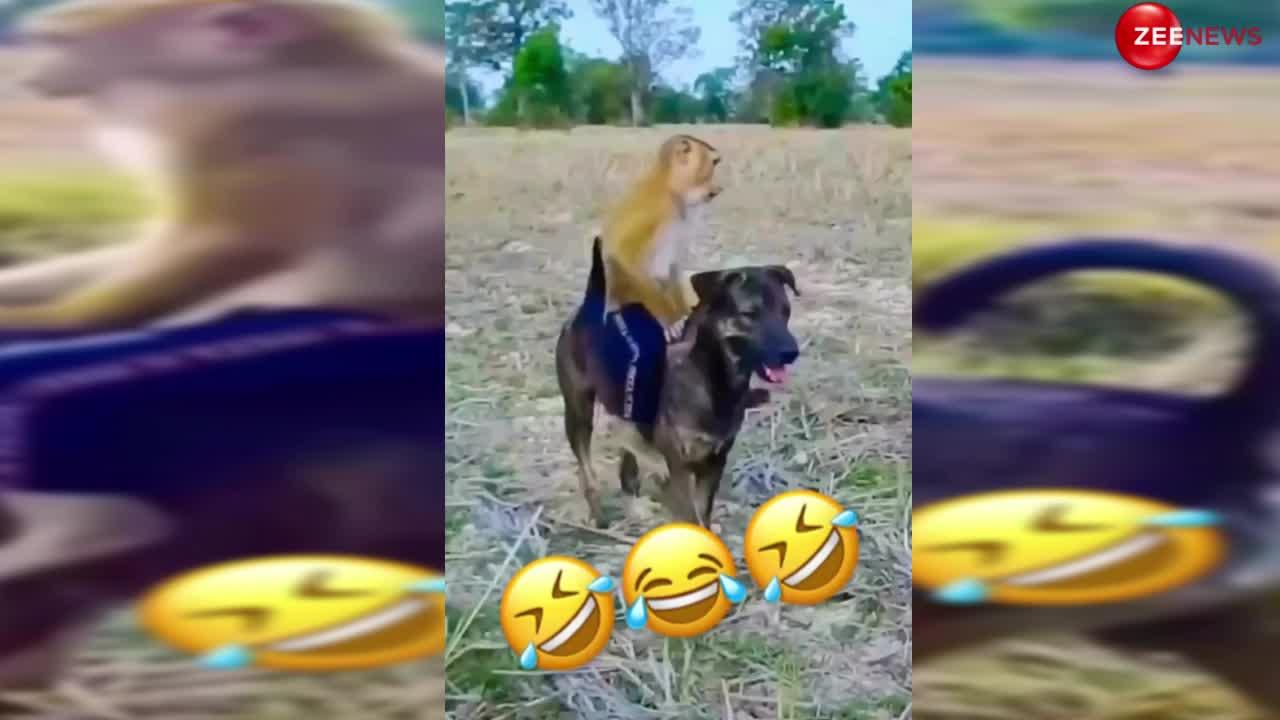 Dog-Monkey Video: कुत्ते की पीठ पर बैठा बंदर, फिर मजे लेते हुए घूमा गांव के खेत, नजारा देख हैरान रह गए लोग