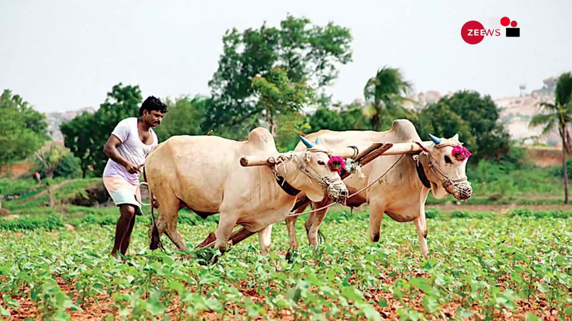 किसानों की बल्ले-बल्ले! पीएम मोदी ने जारी की पीएम किसान योजना की 11वीं किस्त, फटाफट चेक करें अपना नाम