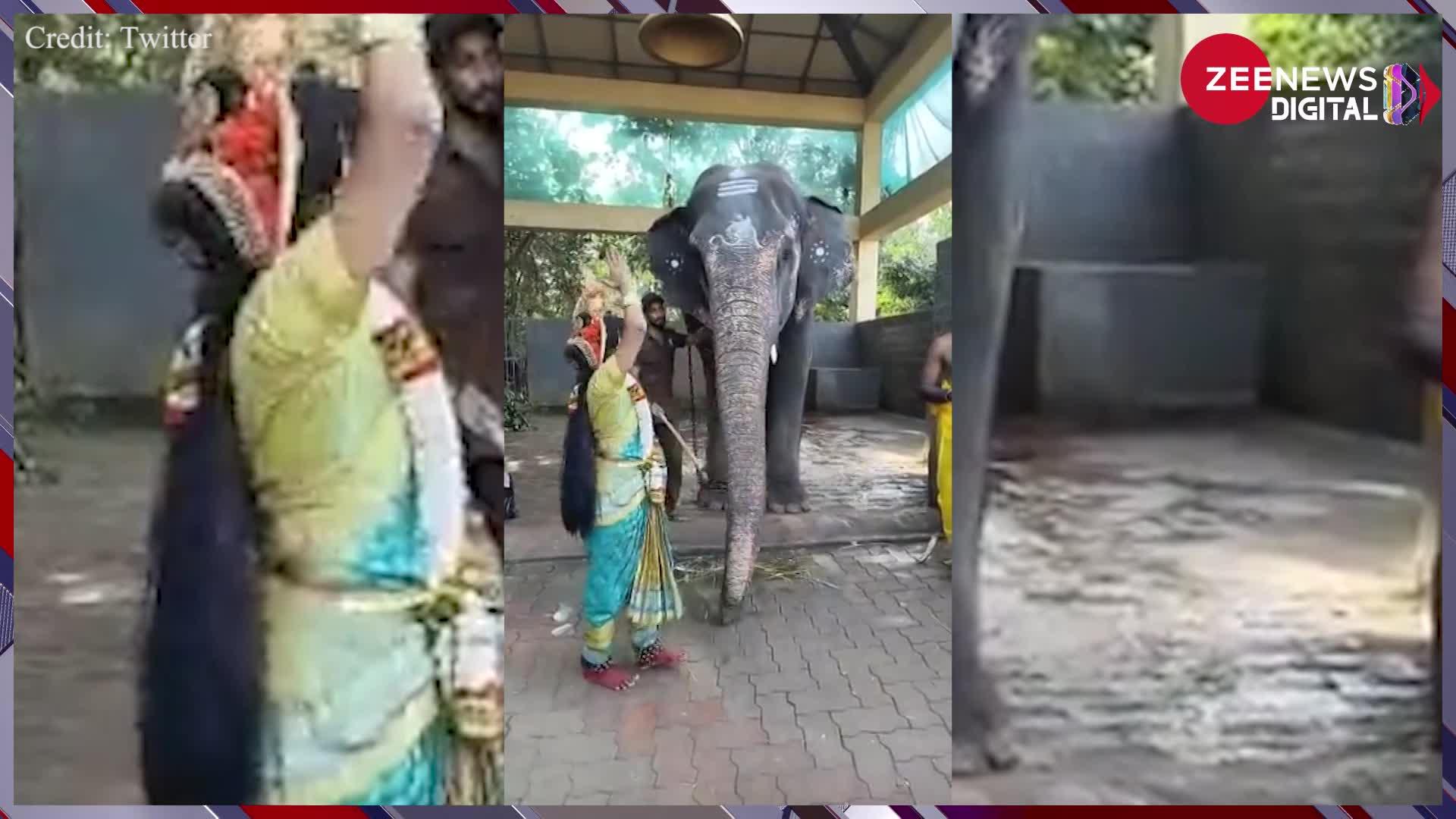 Elephant Blessing: मंदिर में हाथी के सामने डांस कर रही थी लड़की, तभी हुआ कुछ देख चका-चौंद रह गईं आंखे