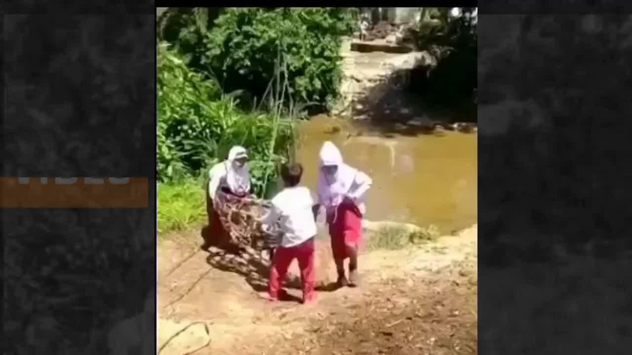Viral Video: बच्चों ने स्कूल जाने के लिए बनाया देसी जुगाड़, ऐसे करते हैं नदी पार
