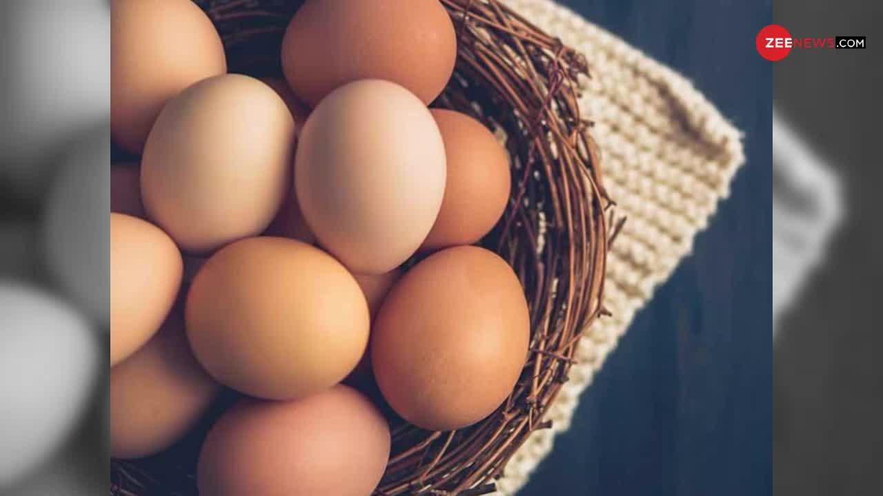 अंडा खाना है तो ये तरीका है बेस्ट, नहीं होगा सेहत को कोई भी नुकसान