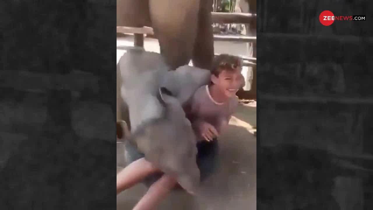 Viral Video: हाथी के पास युवक को बैठे देख बेबी एलिफेंट को आया गुस्सा, फिर देखें क्या हुआ