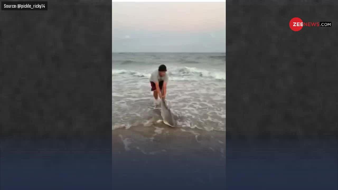 Viral Video: शख्स ने बचाई शार्क की जान, लेकिन पासा उल्टी पड़ गया..