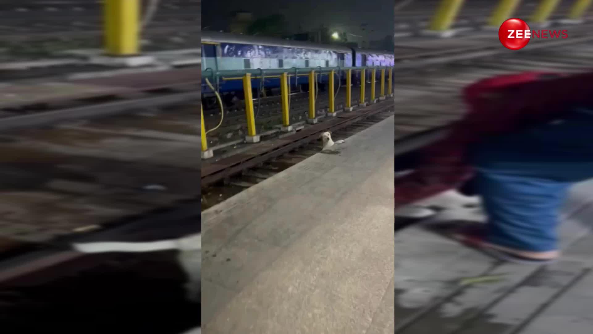 रेलवे की पटरी पर फंस गया था कुत्ता, शख्स ने देखते ही की मदद; वीडियो पर लोगों ने लुटाया प्यार