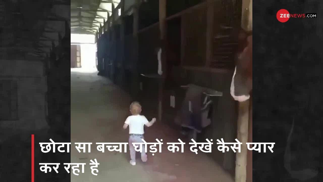 Viral Video: घोड़ों को नन्हें बच्चे ने इतनी प्यार से सहलाया, वीडियो देख भावुक हुए लोग