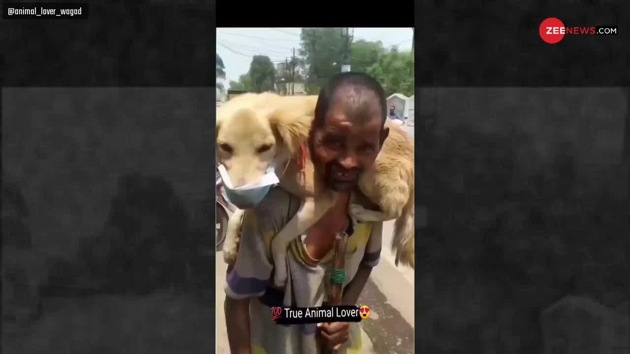 Viral Video: कुत्ते को कंधे पर बिठाया, मास्क लगाया, फिर कहा...'मैं मर जाऊंगा पर इसको नहीं मरने दूंगा'
