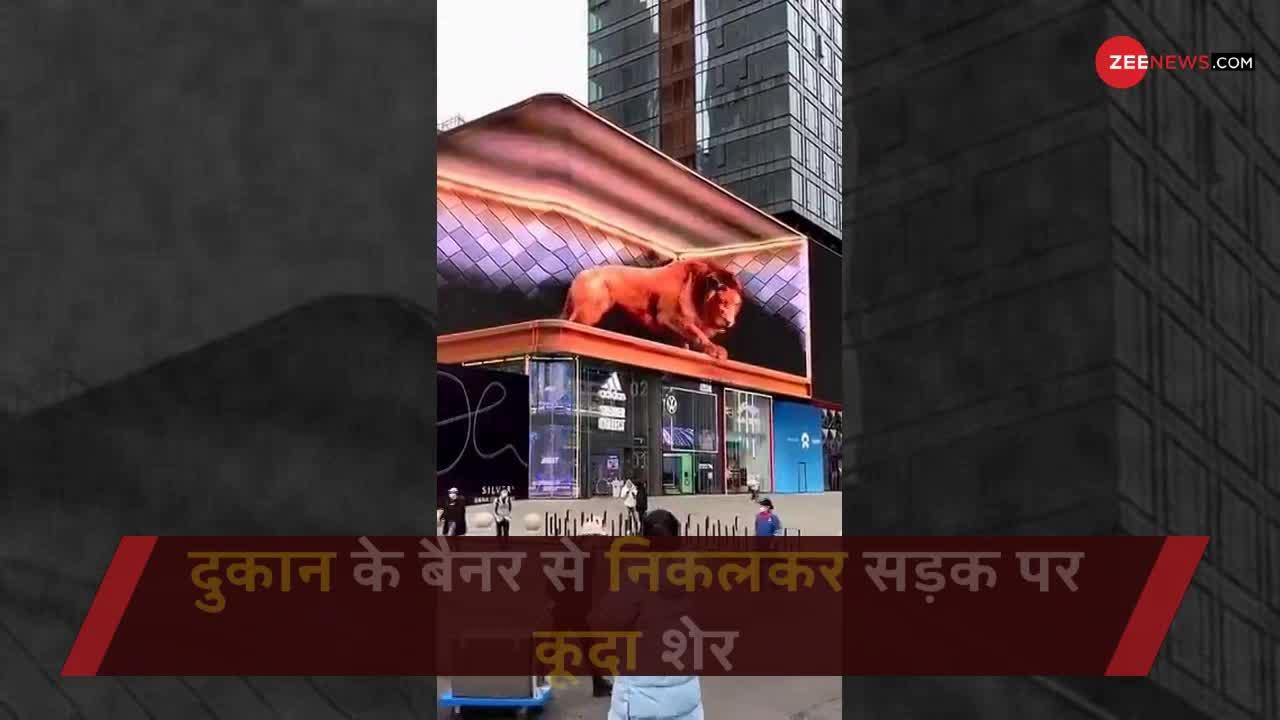 VIRAL VIDEO : दुकान के 'बैनर' से निकलकर सड़क पर कूदा 'शेर'!
