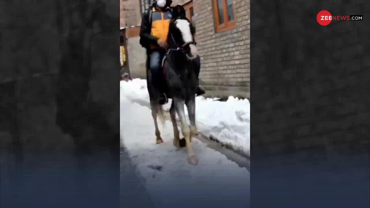 VIRAL VIDEO : ये जनाब घोड़े पर सवार होकर डिलीवरी देने पहुंचे, सोशल मीडिया पर हुई वाहवाही!