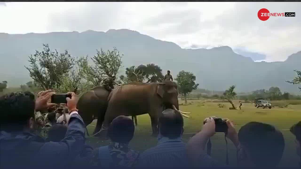 Viral Video : हाथी की पीठ पर लगी चोट का दूसरे साथी हाथियों ने ऐसे किया इलाज