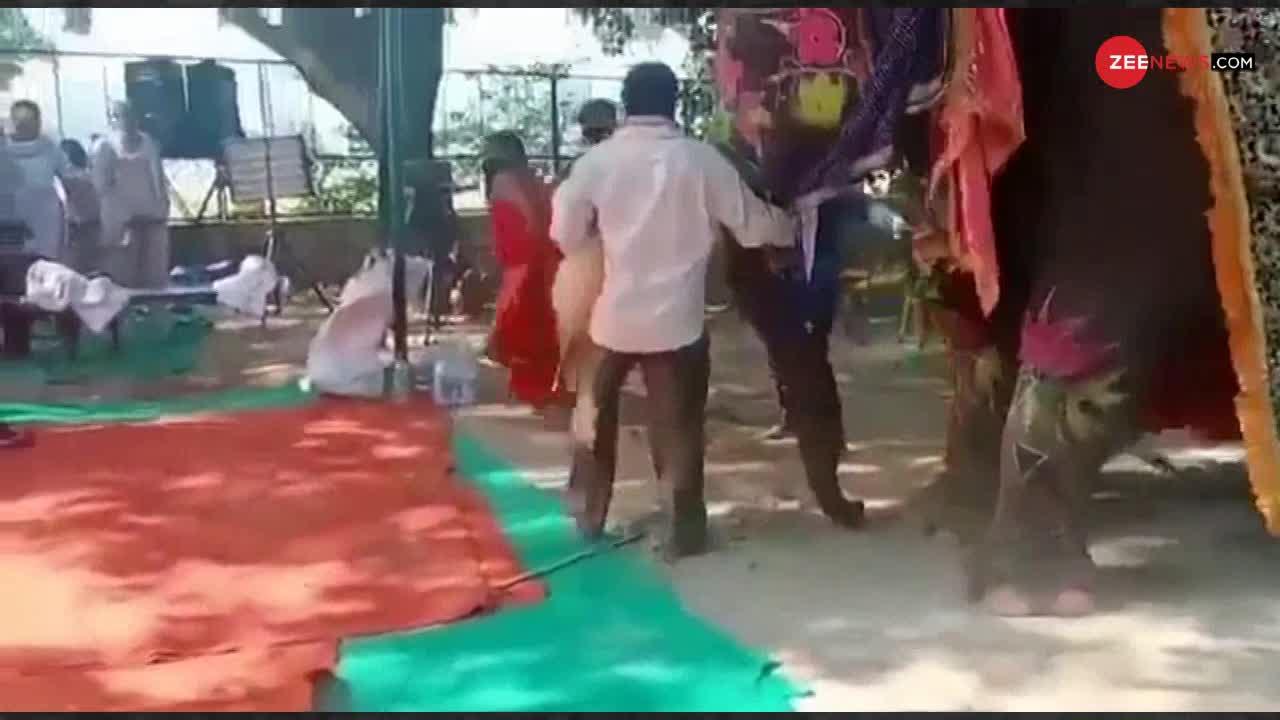 VIDEO : संतों को योग सीखाते हुए हाथी से गिरे स्वामी रामदेव