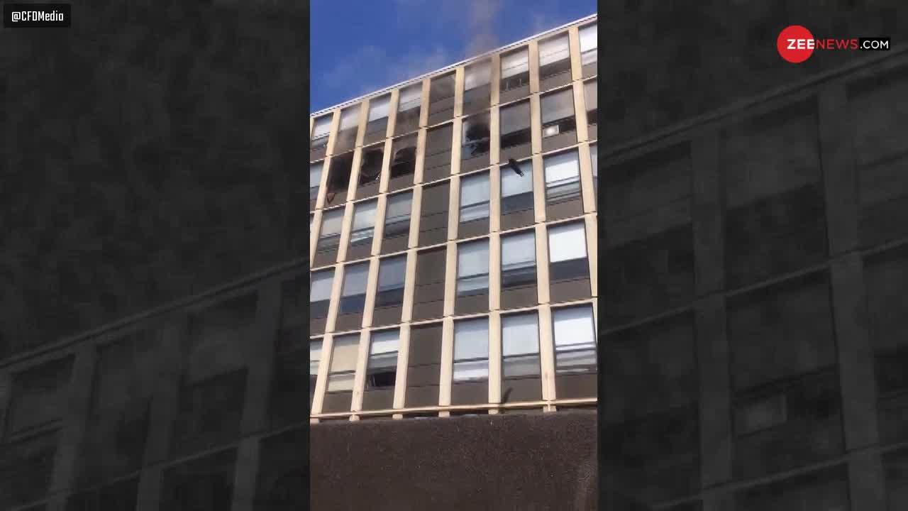Viral Video: आग से बचने के लिए 5वीं मंजिल से कूदी बिल्ली, हैरान करने वाला वीडियो आया सामने