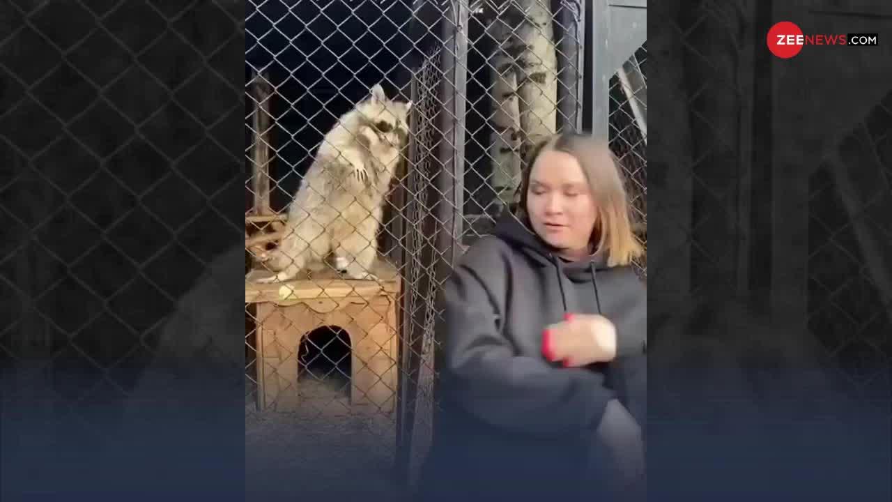 Viral Video: महिला की डांस करते हुए इस जानवर ने की ऐसी नकल, वीडियो देख हैरान रह जाएंगे आप!