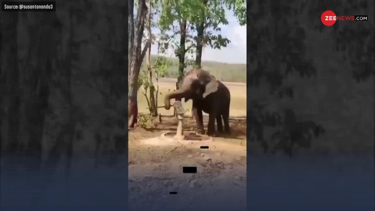 Viral Video: हाथी का गजब जुगाड़, पानी पीने के लिए सूंड से चलाया हैंडपंप!