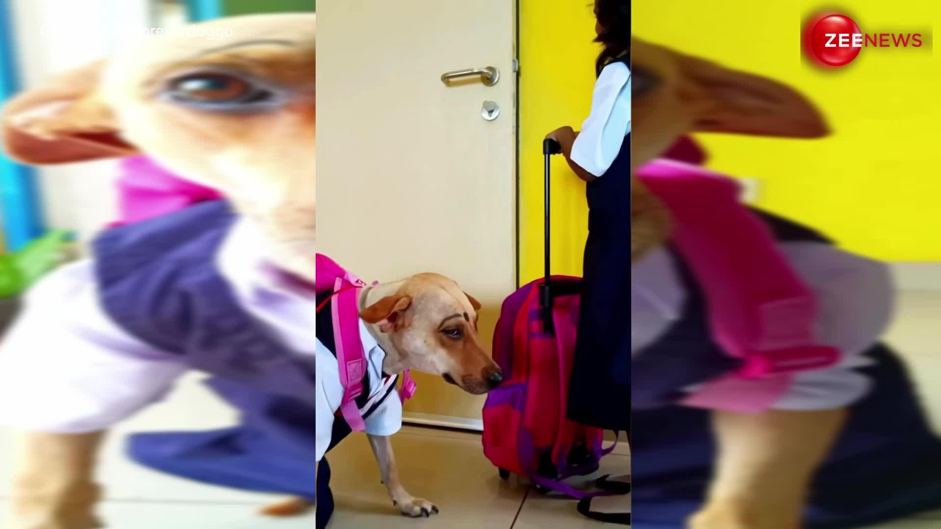 कुत्ते को स्कूल यूनिफार्म पहनाकर शख्स ने भेज दिया स्कूल, वीडियो देख लोगों का फूटा गुस्सा
