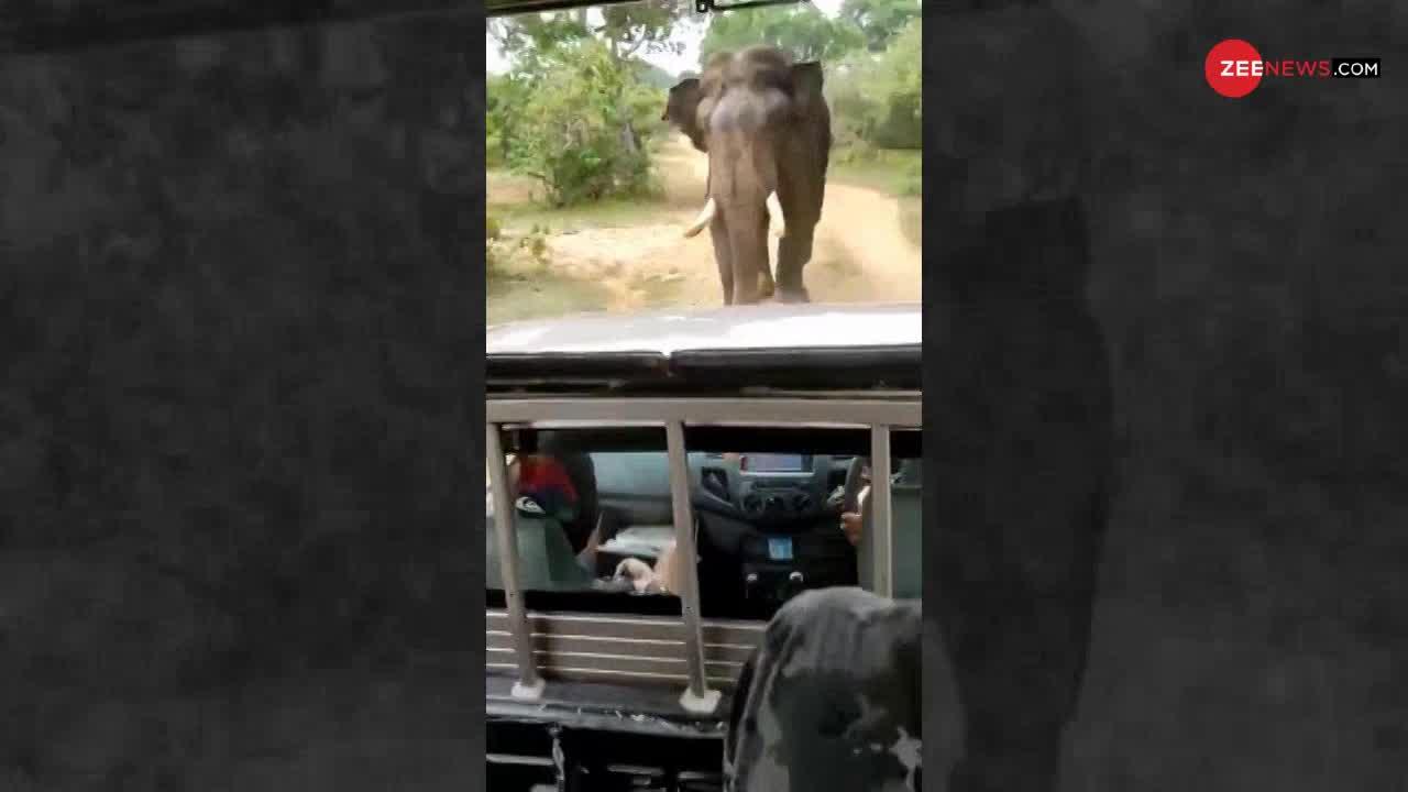 Viral Video : टूरिस्ट गाड़ी ने किया हाथी पीछा, फिर हाथी ने ऐसे सिखाया सबक..