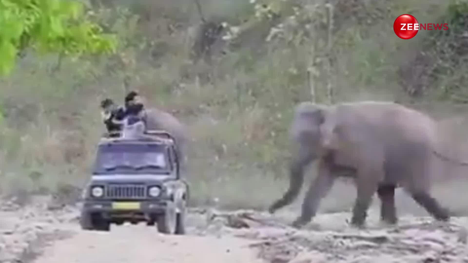 खतरनाक वीडियो... टूरिस्ट जीप के पीछे भागा जंगली हाथी, जान बचाने के लिए इधर-उधर भागते हुए नजर आए लोग