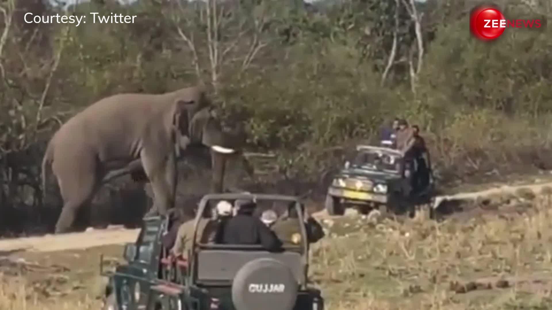 क्या हुआ जब जंगल सफारी पर आई गाड़ियों ने घेर लिया हाथी? लोगों को देख गुस्सा गए गजराज तो कर दिया हमला