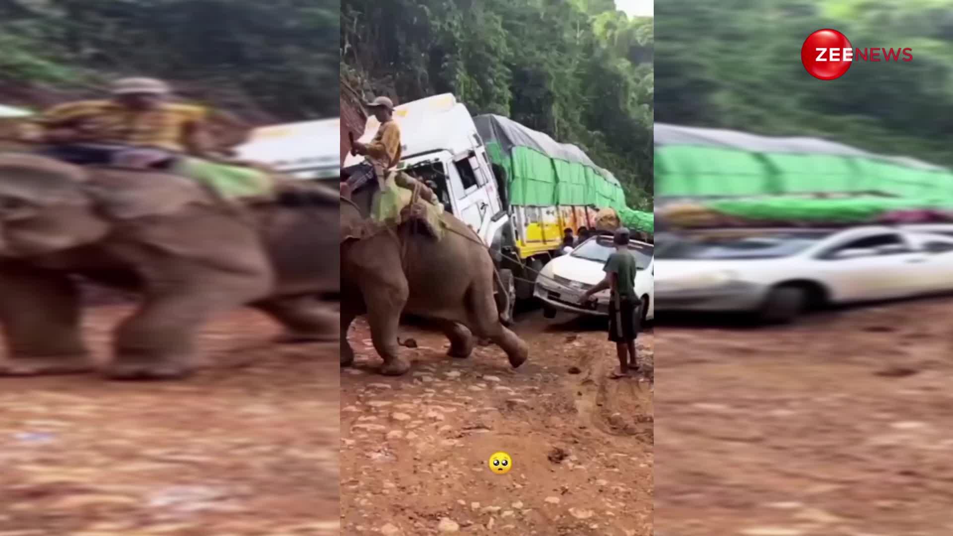 पहाड़ी पर यात्रियों से भरी गाड़ी खींचता दिखा हाथी, वीडियो देख एनिमल लवर्स से जताया दुःख