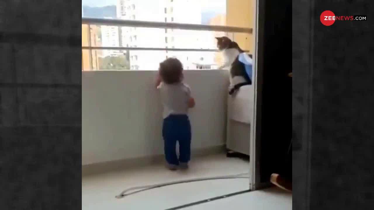Viral Video : बच्चे को बाहर झांकने से रोकती बिल्ली बनी 'हीरो'