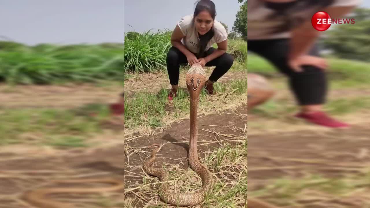 लड़की को देख खुलेआम खेत में रोमांटिक हुआ कोबरा सांप, इस हरकत ने खींचा यूजर्स का ध्यान