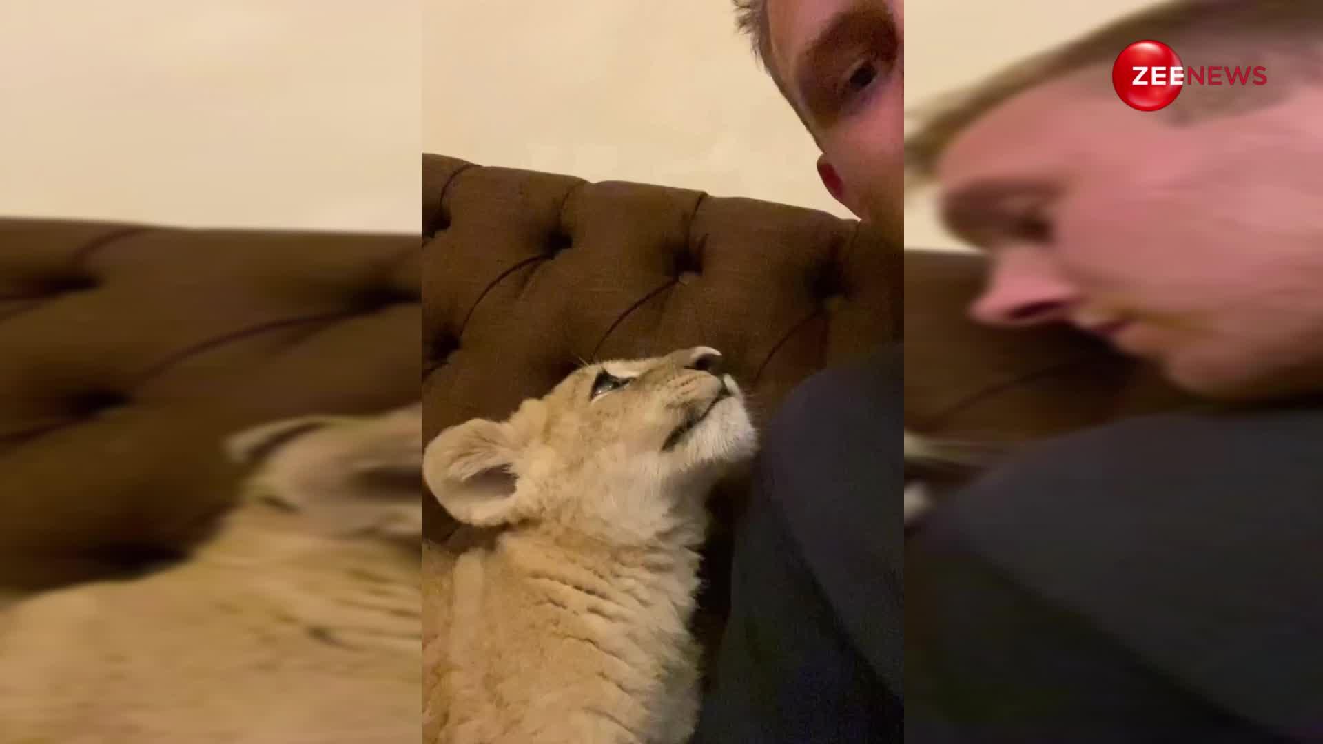 खतरनाक वीडियो! शेर के बच्चे के साथ मस्ती करता दिखा शख्स आखिर में हुआ कुछ ऐसा, देख फटी रह जाएंगी आपकी आंखें