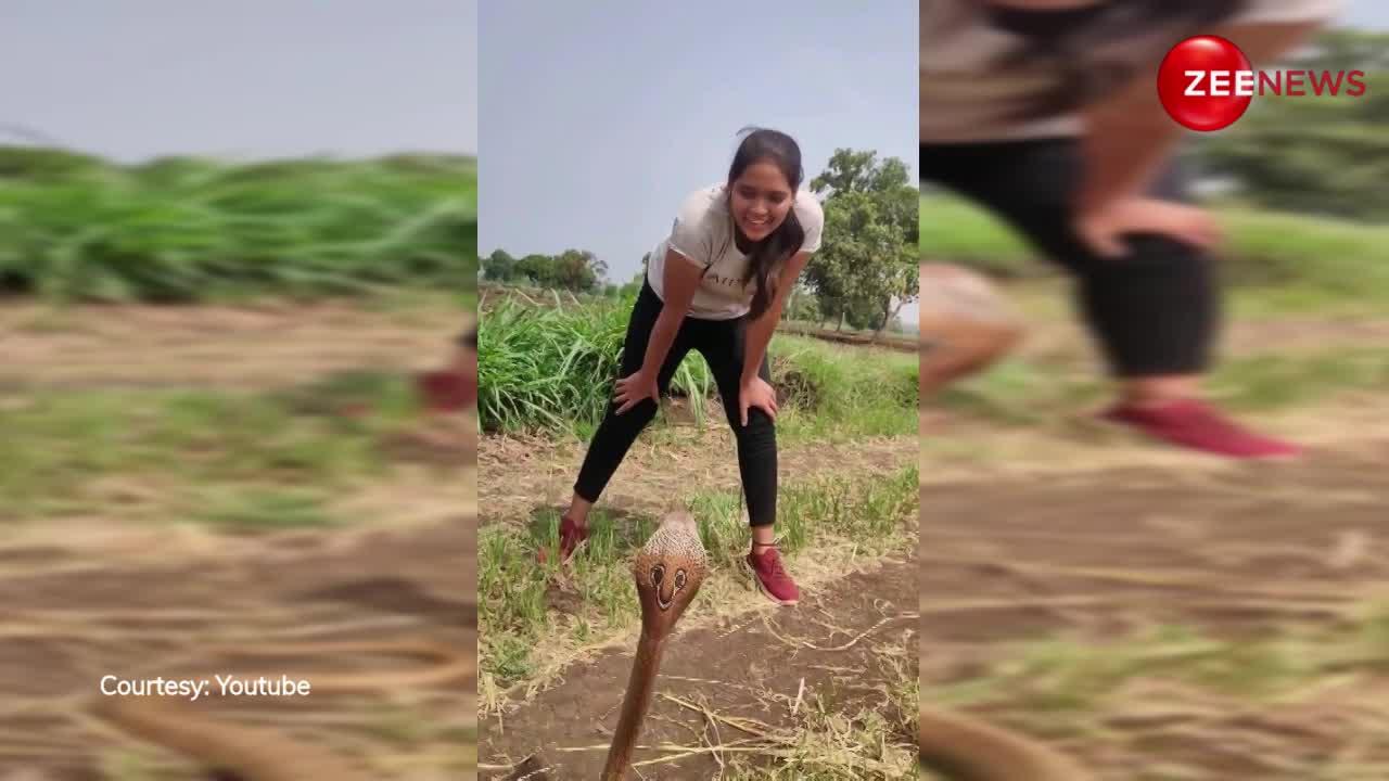 जवान लड़की को देखते ही खेत में नाचने लगा King Kobra! यकीन नहीं तो देखें ये हैरान करने वाला वीडियो