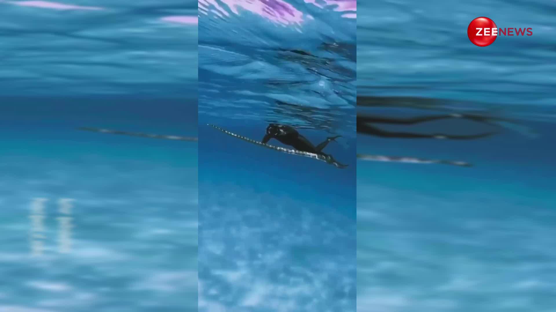 पानी के अंदर पहली बार नजर आया समुद्री स्नेक, वीडियो हुआ वायरल