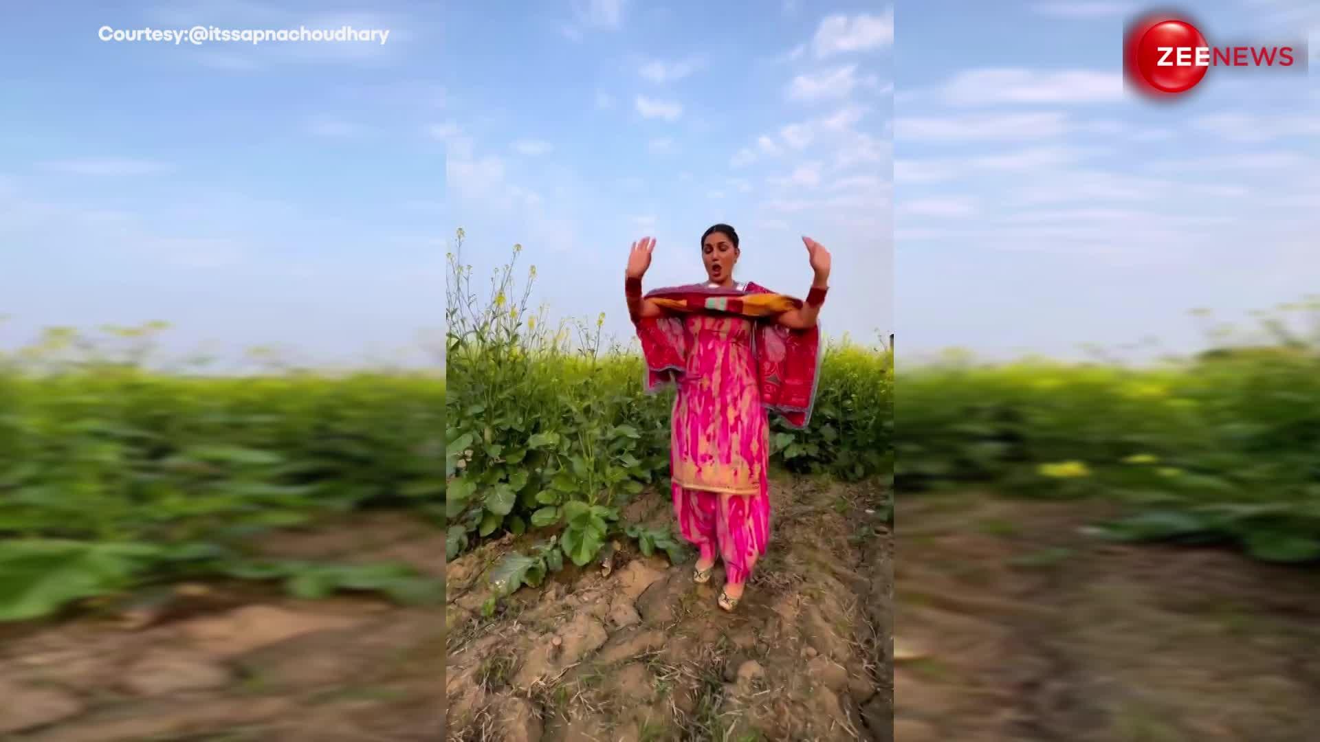 सरसों के खेत में खड़े होकर Sapna Choudhary ने किया धमाकेदार डांस, हरियाणवी बीट पर खूब मारे ठुमके